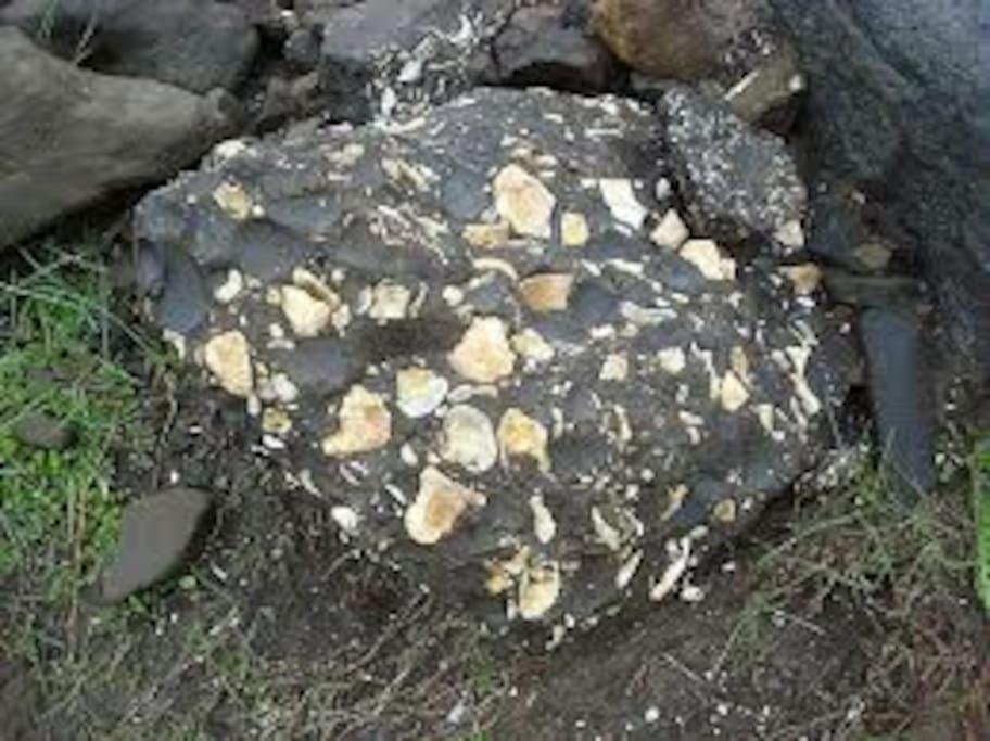 Cabin In The Lava. Near Husavik Skogar  Exterior photo